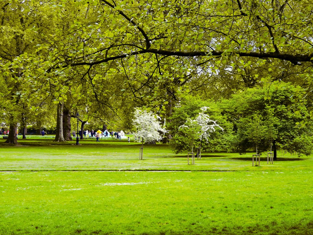 Uk parks. Грин-парк (Green Park). Грин парк Лондон территория. Грин парк Лондон канадский мемориал. Грин парк Лондон ивы.